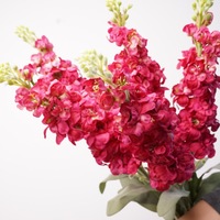 Fleur artificielle réaliste au toucher, hydratante, violette, branche unique, Delphinium, Jacinthe, pour décoration de mariage