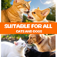 Vente chaude huile de chanvre bio pour animaux de compagnie pour le soulagement de la douleur allergie immunité séparation anxiété chien chat supplément gouttes