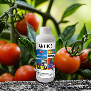 בתחילת העונה עגבניות אורגניות ועגבניות שרי במהירות צבע משתנה במצב נוזלי זמין כעת - Product Image 4