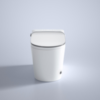 Nouvelle conception 2025, siège de toilette intelligent pour femme, télécommande, siège élargi, diffuseur d'arômes intégré, siphon en S, montage au sol, désodorisation automatique, villas