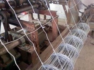 Galvanizado Sheep Livestock Wire Mesh Rolls Segurança Fixa Knot Farm Horse Cattle Field Fence para Deer Goat - Product Image 6