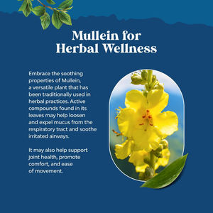 ของเหลวใบ mullein หยดของเหลวในช่องปากเร่งการหายใจสำหรับปอดที่ไม่มีแอลกอฮอล์ทำความสะอาดปอดพร้อมตัวอย่างฟรี - Product Image 5