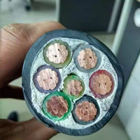 Cable de Alimentación de Cobre de Bajo Voltaje Premium con Revestimiento de PVC y Múltiples Clasificaciones de Corriente para Distribución de Energía