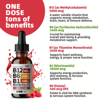 Complément alimentaire liquide de vitamine B organique, vitamine B1 B6 B12 halal, fournissant de l'énergie, gouttes de complexe de vitamine B liquide