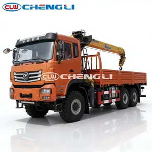 Grue montée sur camion CLW 21,5 m à flèche droite pour travaux de levage en construction - Product Image 6