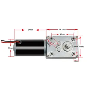 China Fornecedor Auto Bloqueio Micro 40w peeimoger 12 volts 24v 36v Micro Worm Caixa de Engrenagens 5840WG3157 DC Motor