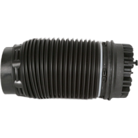 Rear Right Shock Air Spring Bag for Dodge Ram 1500 68248948AA 4877136AA