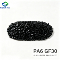Granulés PA6 GF30, granulés de nylon renforcé de fibres de verre pour pièces automobiles