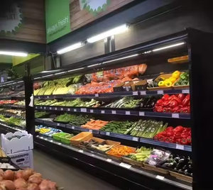 Supermarkt Display Koelkast Multi-Layer Open Chiller Verticale Luchtgordijn Koelkast Display Vriezer - Product Image 5