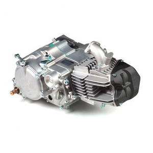 Moteur Daytona Original <span class=keywords><strong>Anima</strong></span> 190FE Neuf, Démarrage Électrique, 4 Temps, 4 Soupapes, 190cc DT, pour Pit Bike et Moto Tout-Terrain, Échantillon Disponible - Product Image 1