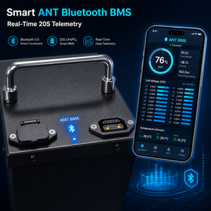 Batteria al Litio Personalizzata 72V 25Ah 20S5P 220A con BMS Bluetooth ANT e Cassa Metallica per Mini Bici Elettrica Tuttio Soleil01 - Product Image 3