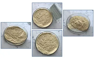 <span class=keywords><strong>Bacillus</strong></span> para Uso Agrícola, Fabricante Ofrece Aditivo para Alimentos, <span class=keywords><strong>Bacillus</strong></span> <span class=keywords><strong>Cereus</strong></span> - Product Image 5