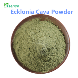 Poudre d'algues Ecklonia <span class=keywords><strong>Cava</strong></span> naturelles au <span class=keywords><strong>meilleur</strong></span> prix - Product Image 2