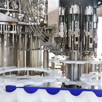 Machine de Fabrication de Vodka Bouteille en Verre Automatique Petite Échelle 5000bph Machine de Remplissage de Vin en Promotion avec Boucheuse ROPP et Bouchon en T
