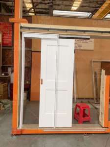 Video Cửa Điện Thoại Cửa Sổ Và Cửa Làm Cho Máy Nội Thất Trượt Pocket Cửa - Product Image 3