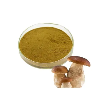 Hữu cơ boletus edulis nấm chiết xuất bột