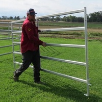 Paneles de Acero Galvanizado de Alta Resistencia para Ganado y Caballos, Cercas Metálicas Portátiles para Ranchos Australianos, Venta al Por Mayor