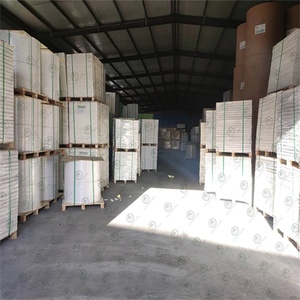 Papel de Arte C2S Recubierto de Alta Calidad y Suavidad Premium - Product Image 5
