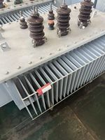 Transformateur de puissance triphasé immergé dans l'huile de 100 kVA, entrée 35 kV, sortie 415 V, bobinage en cuivre pour la distribution d'énergie