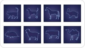 <span class=keywords><strong>SonoScape</strong></span> E1V Ysenmed ultrasonido veterinario portátil gato perro ultrasonido escáner con sonda Rectal/convexa/lineal - Product Image 6