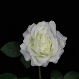 <span class=keywords><strong>Rosa</strong></span> <span class=keywords><strong>Rosa</strong></span> 2 bud 1 Seta Tessuto a Fiori English Rose Fiore Artificiale per <span class=keywords><strong>la</strong></span> Cerimonia Nuziale Centrotavola - Product Image 4