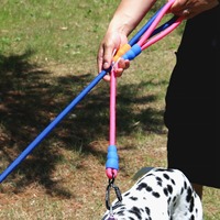 Laisse pour chien classique de 1,2 m en corde de polyester souple pour chiens à forte traction, design simple et moderne PETBOS
