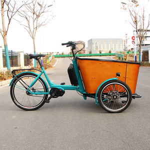 Vélo cargo électrique à 3 roues avec certificat CE, vélo électrique, Bakfiet, remorque, vélo cargo électrique, système d'amortissement avec animaux de compagnie, <span class=keywords><strong>chien</strong></span> et chat - Product Image 3