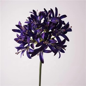 Flor púrpura Artificial Vintage europea de alta calidad Agapanthus <span class=keywords><strong>Africanus</strong></span> lirios flores de lirio africano de seda para decoración de boda - Product Image 1