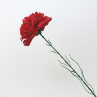Vente en gros de fleurs artificielles en velours rouge à tige unique de 61 cm, fleurs douces et écologiques, décoration pour mariage, fête des mères, en vrac