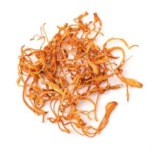 Organik mantar Premium kaynak yetiştirilen <span class=keywords><strong>Cordyceps</strong></span> Militaris toptan - Product Image 6