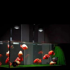 Lámpara <span class=keywords><strong>LED</strong></span> para <span class=keywords><strong>Acuario</strong></span> Super Color de 100W, con Temporizador Ajustable, para Peceras de Peces Dorados, Crecimiento de Plantas y Control de Algas, Venta al Por Mayor - Product Image 4
