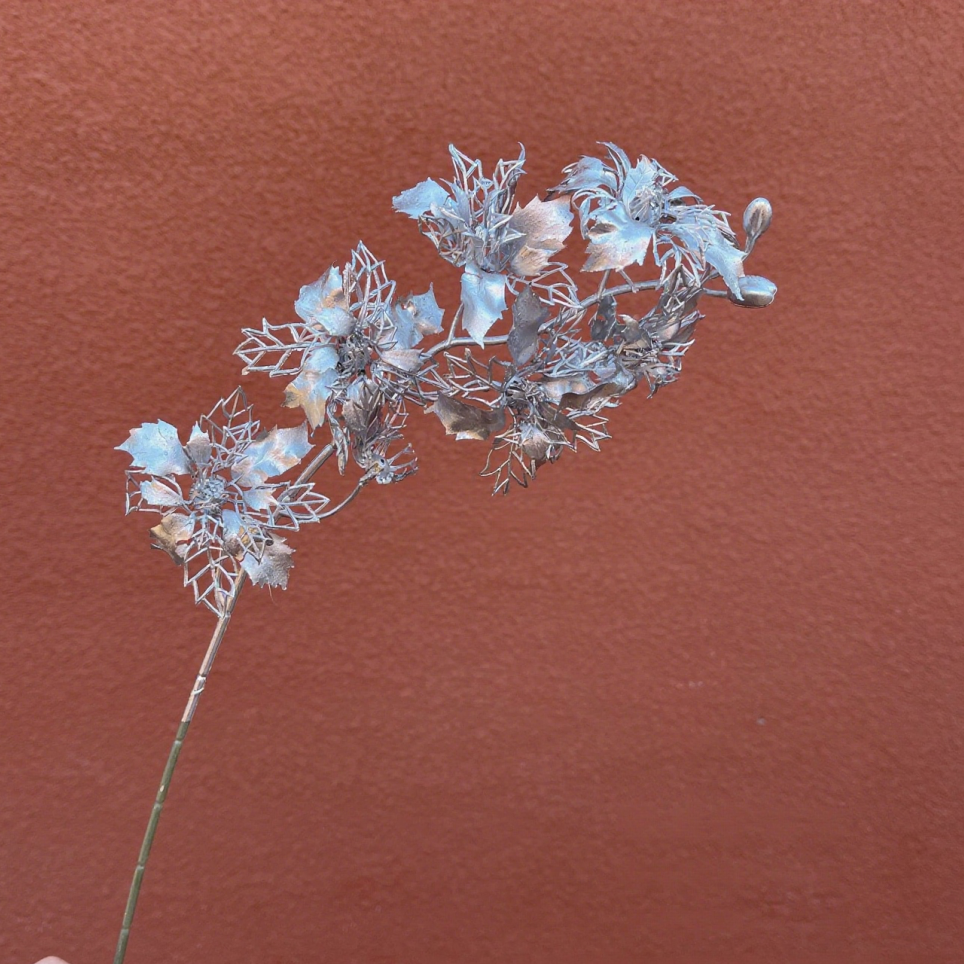 ดอกบัวหิมะกลวง