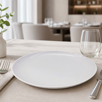 Assiette de service ronde en mélamine blanche, vaisselle imitation porcelaine, plat profond pour hôtel, restaurant, traiteur