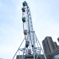 Équipement d'Amusement le Plus Populaire Décoration de Cirque Roue de Ferris Métallique Blanche avec Lumière