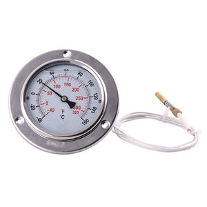 Tige de mesure de température industrielle en acier inoxydable 100 mm, tube capillaire axial tout acier avec bride et surface en verre - Product Image 1