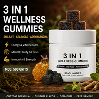 Gummies bien-être 3-en-1 aux herbes naturelles OEM/ODM, infusées au Shilajit, bonbons pour adultes, soutien immunitaire et du sommeil, stimulant quotidien sûr pour la santé