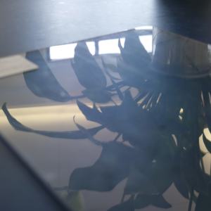 סין מפעל הסיטונאי מותאם אישית גירוד שקוף גליל 2.5 מ "מ חיית מחמד גיליון פלסטיק - Product Image 5