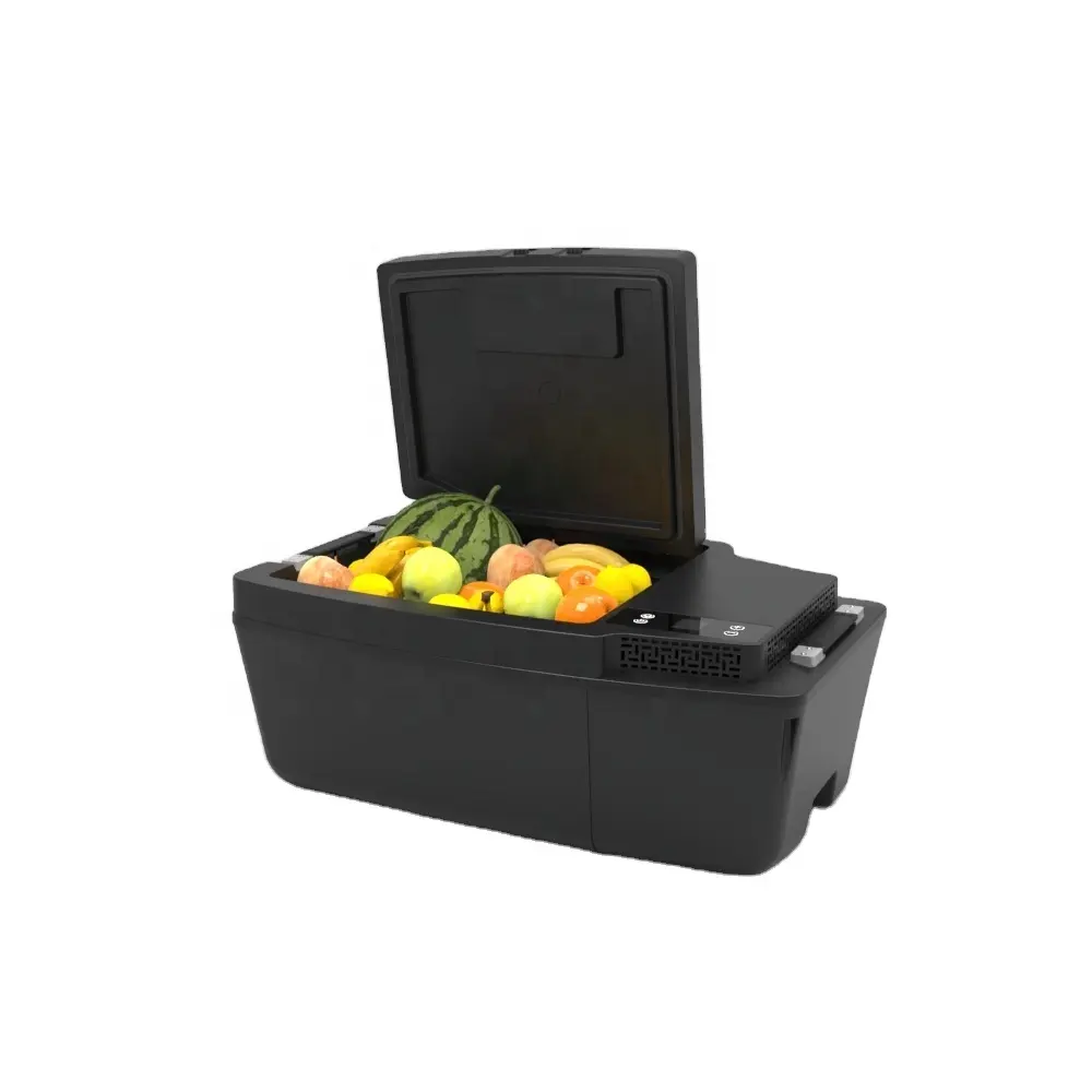 selling well all over the world Portable Refrigerator 12V Camping Outdoor Freezer Car Cooler For Tesla