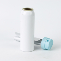 Vente en gros de bonne qualité 120 250 300 ml aluminium mini vide aérosol nez visage corps vaporisateurs emballage