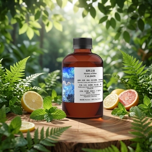 Mystère des Huiles Parfumées Bleues pour Diffuseur d'Arômes, Huiles Essentielles Pures pour Diffuseur Crearoma, Fabrication de Parfums - Product Image 6