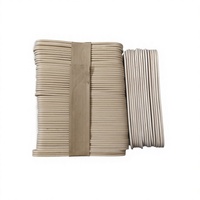 Bâtonnets de crème glacée personnalisés, jetables, en bois de bouleau naturel, écologiques, durables, portables, pour la crème glacée faite maison