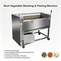 DXC-1000/1500 Wortelgroentewas- en schilmachine van 304 roestvrij staal voor de verwerkingslijn van aardappel, wortel en yam