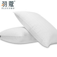 Oreiller en plume de canard pour l'hôtel, coussin médical, vente en gros, économique