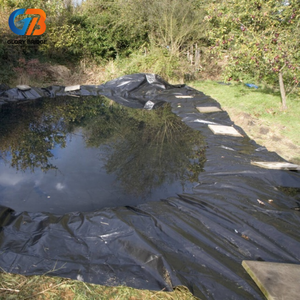 HDPE Geomembrane Eco-Friendly Durable for Coastal <strong>Dyke</strong> and Pond Waterproof Protection Liner - Product Image 5