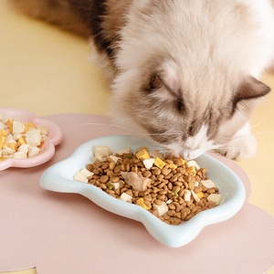VaryWell Nouveau Bol en Céramique pour Chat avec Motifs Cœur et Fleur, Idéal pour Nourriture en Conserve, Friandises et Aliments Lyophilisés - Product Image 3
