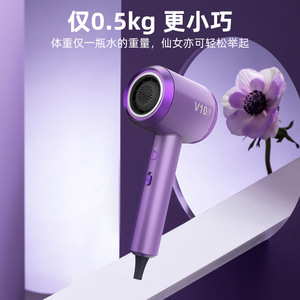 V10 Hair Dryer 2328AV10 High Speed Ionic DC Motor Purple Color Single Air Nozzle Home Use - Product Image 2