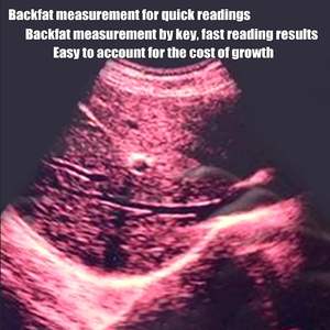 Alat USG Veteriner Portabel GOYOJO untuk Kehamilan dengan <span class=keywords><strong>Probe</strong></span> Sektor Mekanis untuk Domba dan Babi - Product Image 3