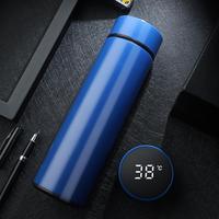 Offre Spéciale Faible Quantité Minimale De Commande OEM Double Paroi Isolée 500ml En Acier inoxydable Vide Sport Thermique Smart ECO Bouteille D'eau