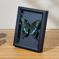 Cadre photo de spécimen papillon creux de 2cm fait à la main DIY commémoratif MDF verre Table essorage papier cadre fleur séchée