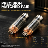 Tube à vide EH EL84 d'origine, équivalent 6P14, paire assortie de précision, remplace 6BQ5 N709 pour amplificateur de guitare audio Hifi
